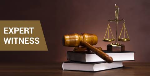 Why Does A Lawyer Need An Expert Witness? | ArticleCube